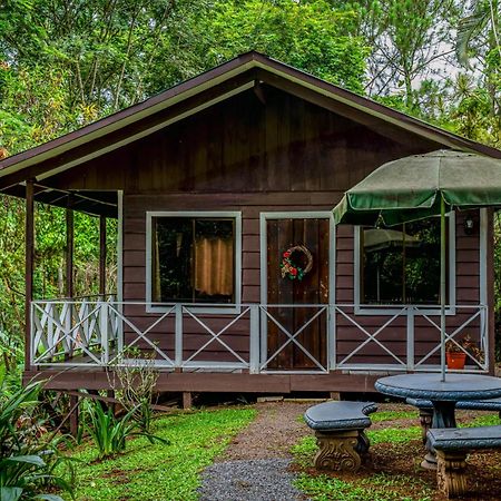 Hospedaje La Naciente Turrialba Kültér fotó