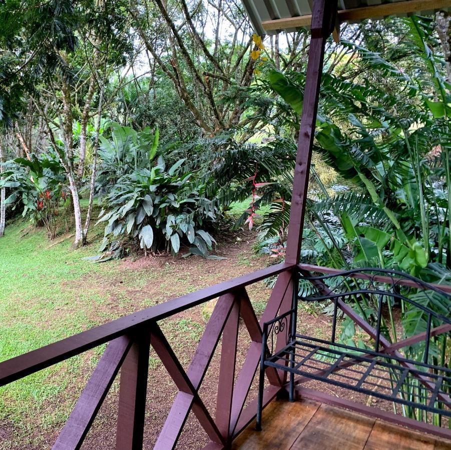 Hospedaje La Naciente Turrialba Kültér fotó