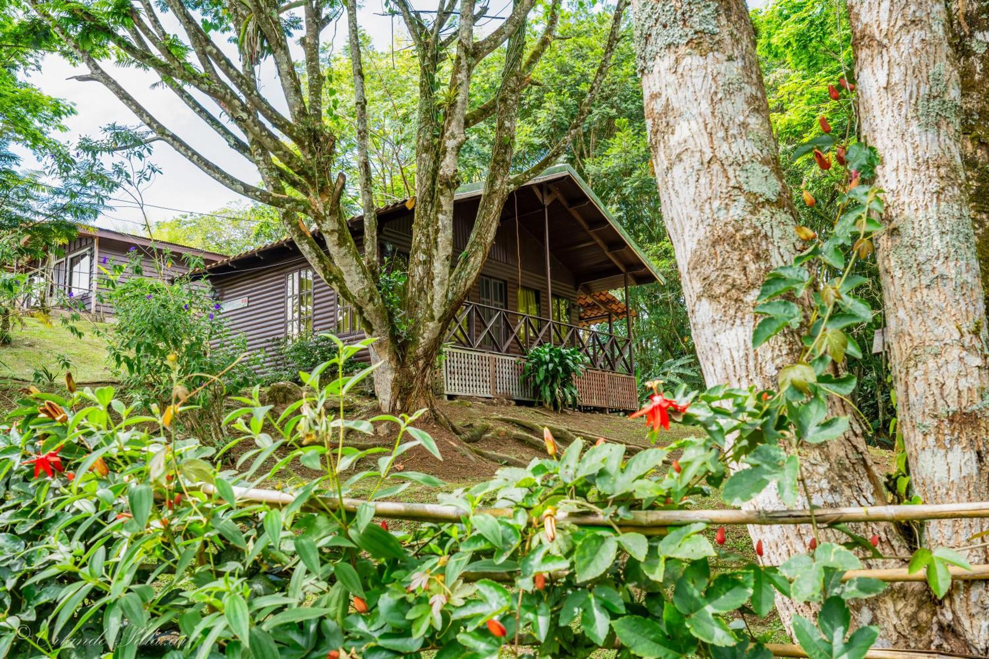 Hospedaje La Naciente Turrialba Kültér fotó