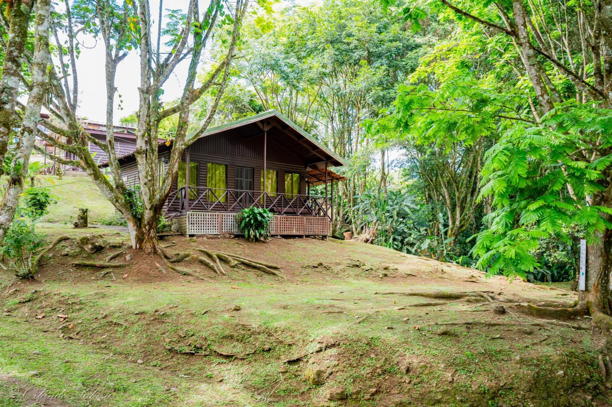 Hospedaje La Naciente Turrialba Kültér fotó