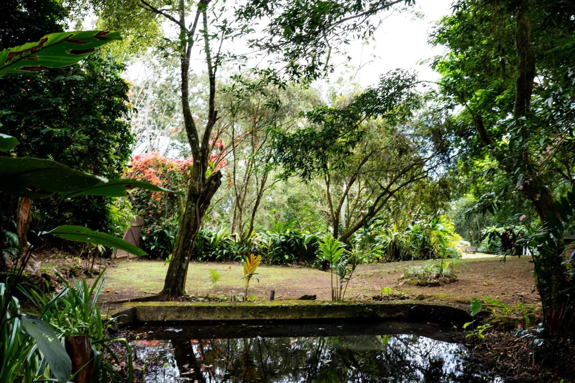 Hospedaje La Naciente Turrialba Kültér fotó
