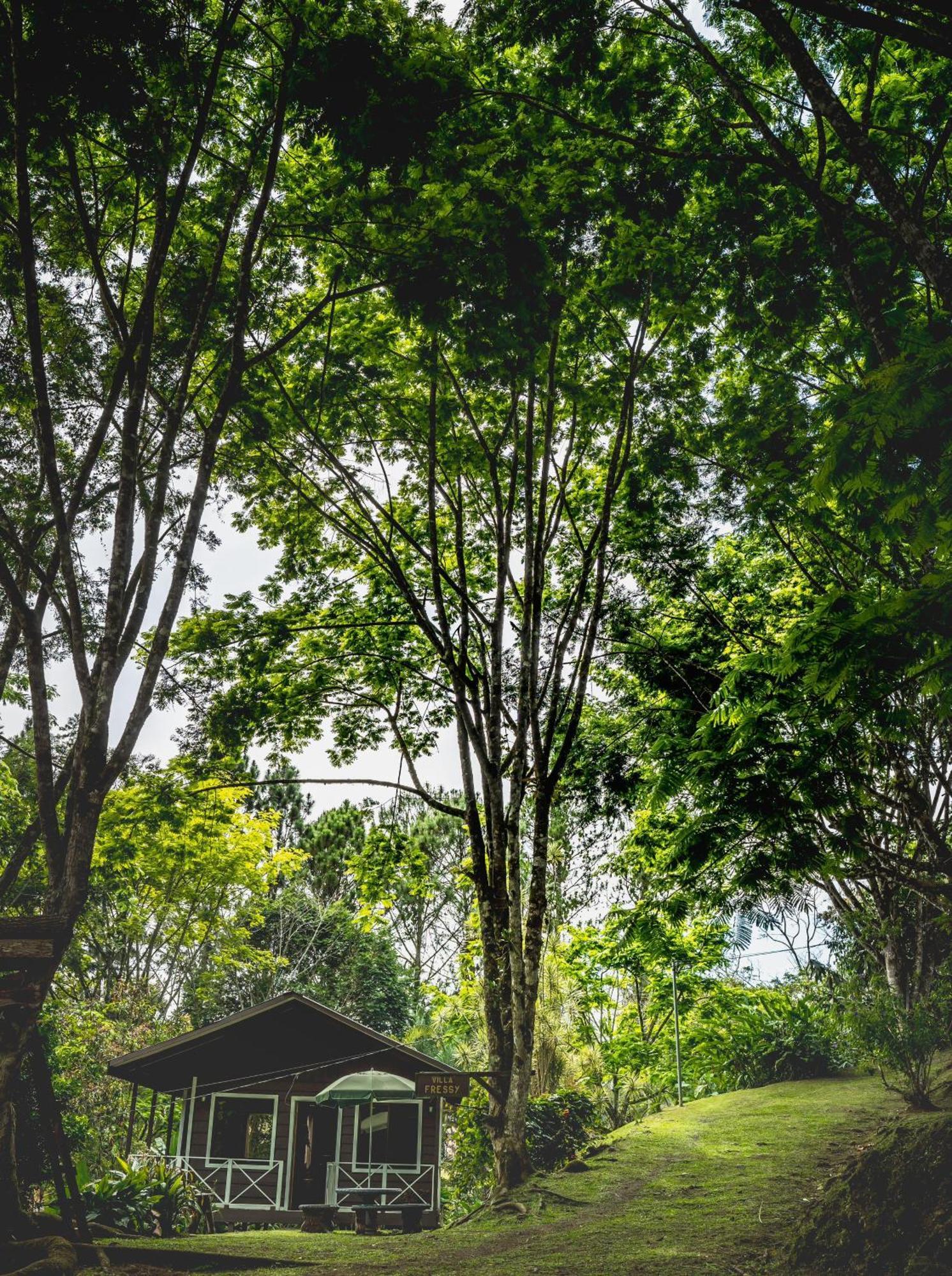 Hospedaje La Naciente Turrialba Kültér fotó