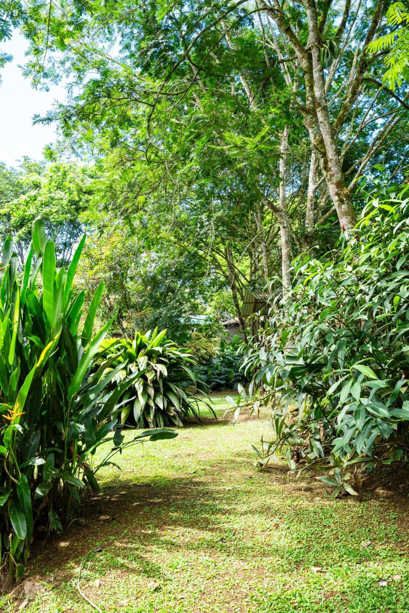 Hospedaje La Naciente Turrialba Kültér fotó
