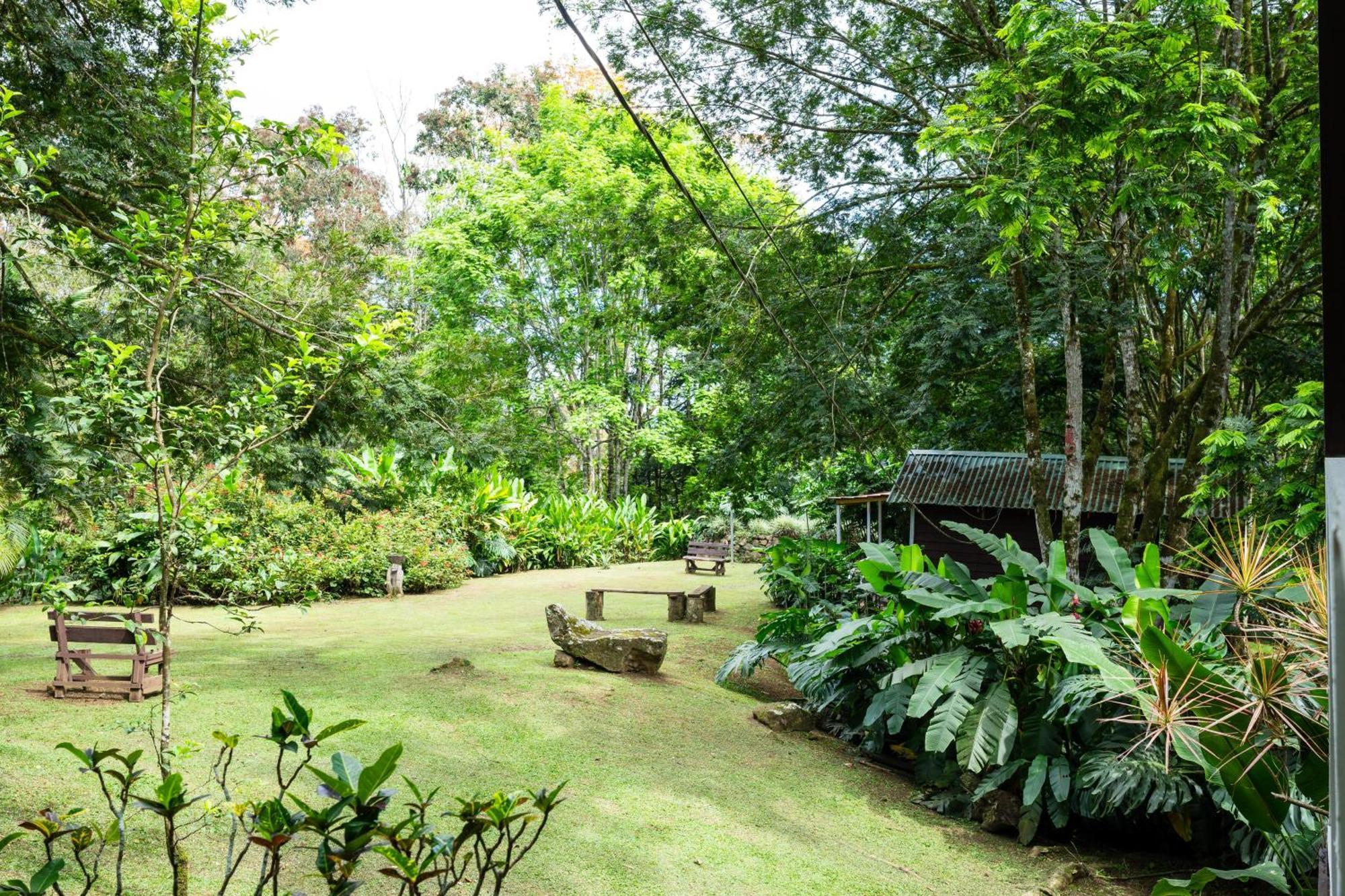 Hospedaje La Naciente Turrialba Kültér fotó
