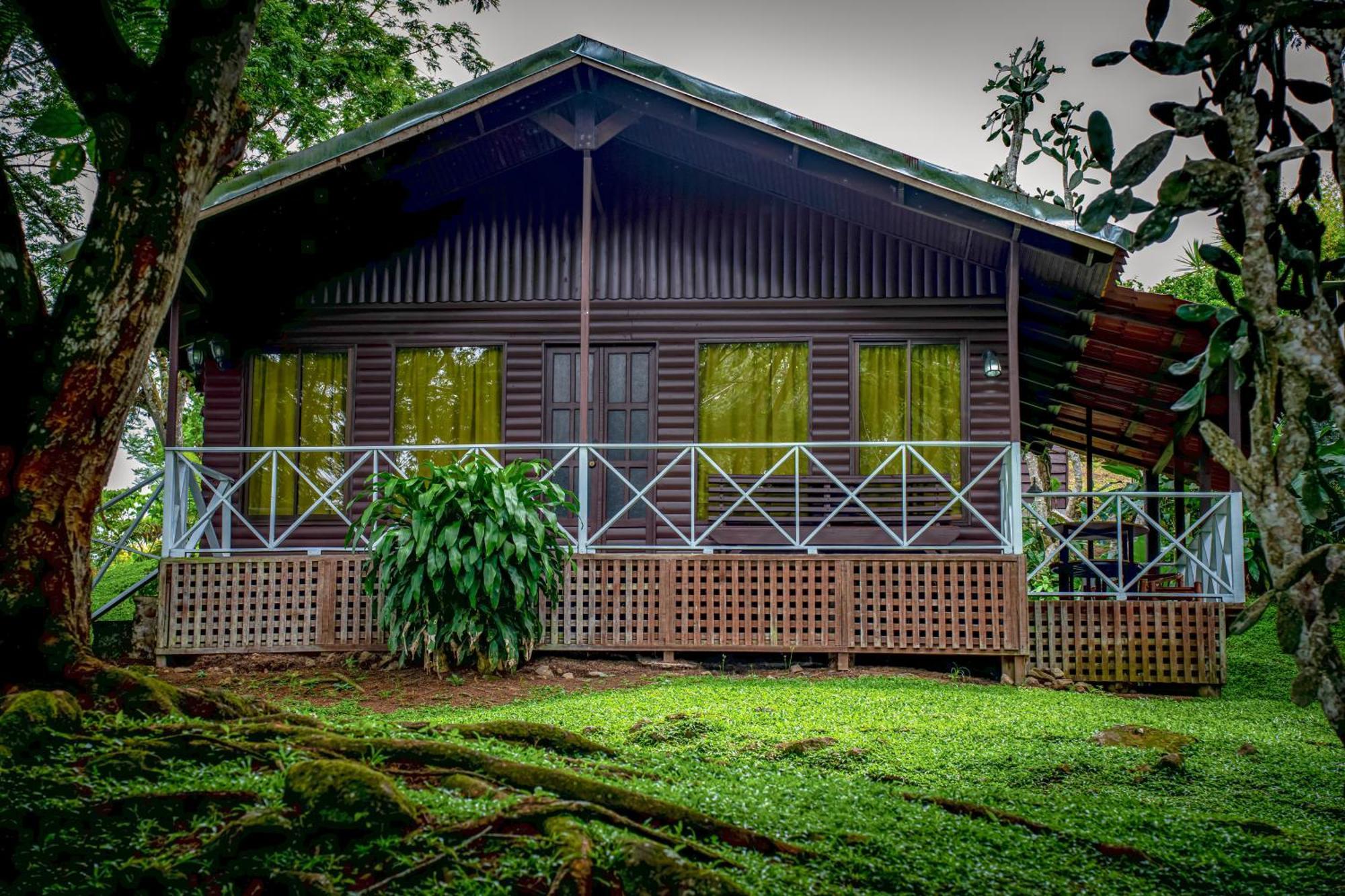 Hospedaje La Naciente Turrialba Kültér fotó