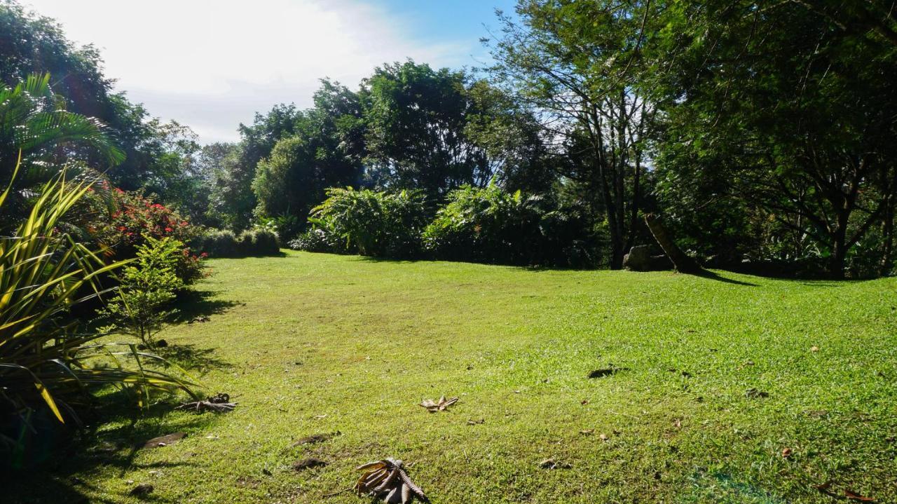 Hospedaje La Naciente Turrialba Kültér fotó