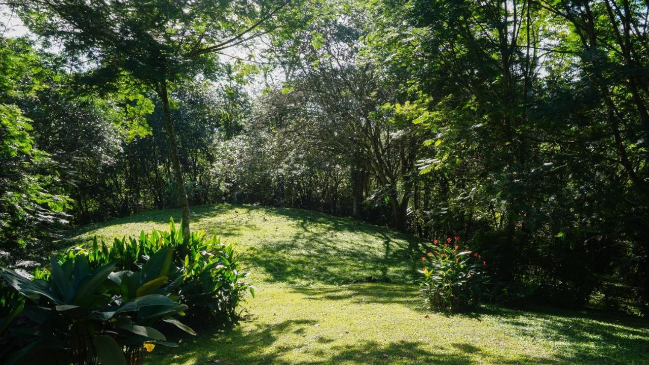 Hospedaje La Naciente Turrialba Kültér fotó